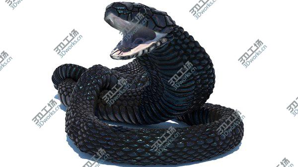 images/goods_img/20210312/3D model Egyptian Cobra Rigged Animated/1.jpg